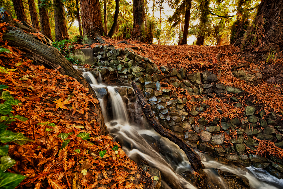 Codornices park waterfall with HDR EFEX Pro using HDR EFEX Pro
